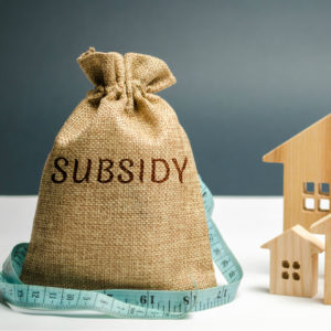 subsidy